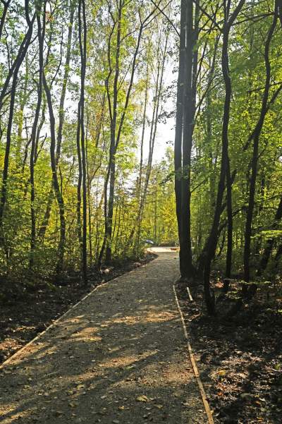 Jedno z najpiękniejszych przyrodniczo miejsc w Krakowie, tu powstaje park - zdjęcie 2