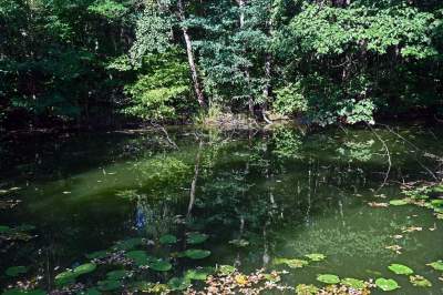 Jedno z najpiękniejszych przyrodniczo miejsc w Krakowie, tu powstaje park - zdjęcie 24