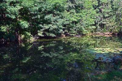 Jedno z najpiękniejszych przyrodniczo miejsc w Krakowie, tu powstaje park - zdjęcie 17