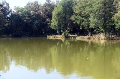 Jedno z najpiękniejszych przyrodniczo miejsc w Krakowie, tu powstaje park - zdjęcie 30