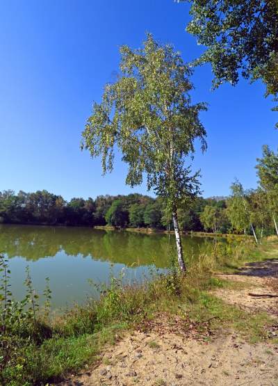 Jedno z najpiękniejszych przyrodniczo miejsc w Krakowie, tu powstaje park - zdjęcie 36