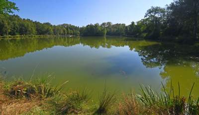 Jedno z najpiękniejszych przyrodniczo miejsc w Krakowie, tu powstaje park - zdjęcie 14