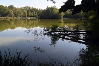 Jedno z najpiękniejszych przyrodniczo miejsc w Krakowie, tu powstaje park - zdjęcie 10