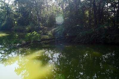Jedno z najpiękniejszych przyrodniczo miejsc w Krakowie, tu powstaje park - zdjęcie 16