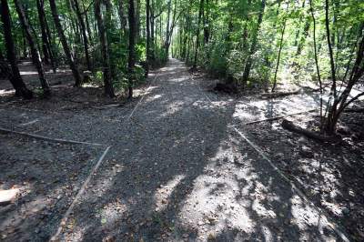 Jedno z najpiękniejszych przyrodniczo miejsc w Krakowie, tu powstaje park - zdjęcie 4