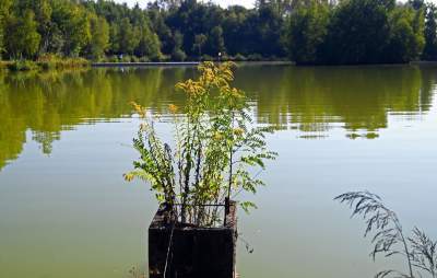 Jedno z najpiękniejszych przyrodniczo miejsc w Krakowie, tu powstaje park - zdjęcie 22