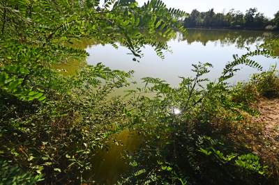 Jedno z najpiękniejszych przyrodniczo miejsc w Krakowie, tu powstaje park - zdjęcie 26