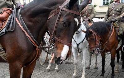 Wielka Rewia Kawalerii: nawiązali do wydarzeń sprzed 90 lat - zdjęcie 19