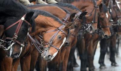 Wielka Rewia Kawalerii: nawiązali do wydarzeń sprzed 90 lat - zdjęcie 16