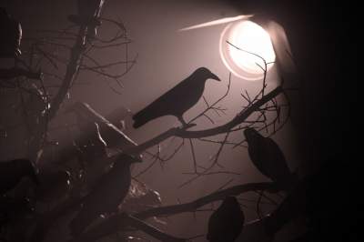 „Komediantka” przewrotna adaptacja sztuki Antoniego Czechowa i Thomasa Berhnarda - zdjęcie 23