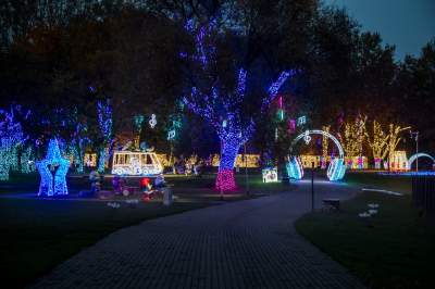 To miejsce uwielbiają nie tylko dzieci, ogród świateł znów zachwyca - zdjęcie 43
