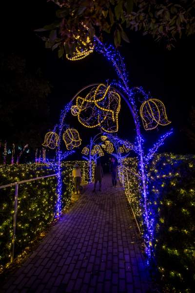 To miejsce uwielbiają nie tylko dzieci, ogród świateł znów zachwyca - zdjęcie 21