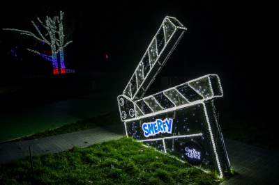 To miejsce uwielbiają nie tylko dzieci, ogród świateł znów zachwyca - zdjęcie 20