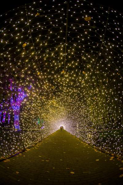 To miejsce uwielbiają nie tylko dzieci, ogród świateł znów zachwyca - zdjęcie 3