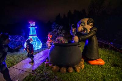 To miejsce uwielbiają nie tylko dzieci, ogród świateł znów zachwyca - zdjęcie 12