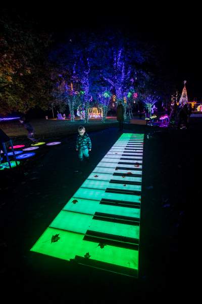 To miejsce uwielbiają nie tylko dzieci, ogród świateł znów zachwyca - zdjęcie 29
