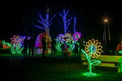 To miejsce uwielbiają nie tylko dzieci, ogród świateł znów zachwyca - zdjęcie 17