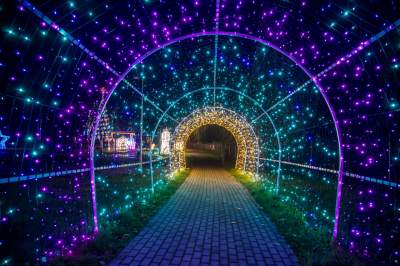 To miejsce uwielbiają nie tylko dzieci, ogród świateł znów zachwyca - zdjęcie 35