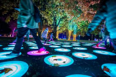 To miejsce uwielbiają nie tylko dzieci, ogród świateł znów zachwyca - zdjęcie 27