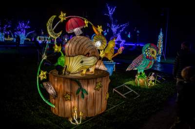 To miejsce uwielbiają nie tylko dzieci, ogród świateł znów zachwyca - zdjęcie 41