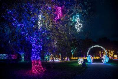 To miejsce uwielbiają nie tylko dzieci, ogród świateł znów zachwyca - zdjęcie 49