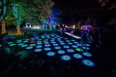 To miejsce uwielbiają nie tylko dzieci, ogród świateł znów zachwyca - zdjęcie 28
