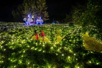 To miejsce uwielbiają nie tylko dzieci, ogród świateł znów zachwyca - zdjęcie 22