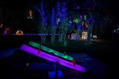 To miejsce uwielbiają nie tylko dzieci, ogród świateł znów zachwyca - zdjęcie 30