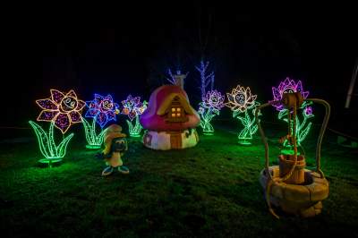 To miejsce uwielbiają nie tylko dzieci, ogród świateł znów zachwyca - zdjęcie 10