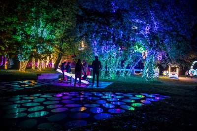 To miejsce uwielbiają nie tylko dzieci, ogród świateł znów zachwyca - zdjęcie 33