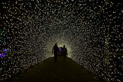 To miejsce uwielbiają nie tylko dzieci, ogród świateł znów zachwyca - zdjęcie 1