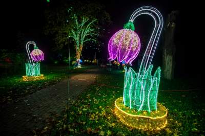 To miejsce uwielbiają nie tylko dzieci, ogród świateł znów zachwyca - zdjęcie 6