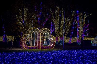 To miejsce uwielbiają nie tylko dzieci, ogród świateł znów zachwyca - zdjęcie 54