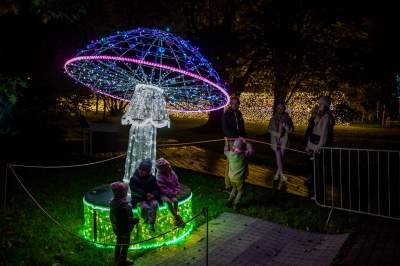 To miejsce uwielbiają nie tylko dzieci, ogród świateł znów zachwyca - zdjęcie 15