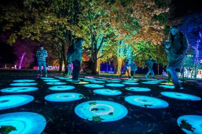 To miejsce uwielbiają nie tylko dzieci, ogród świateł znów zachwyca - zdjęcie 31