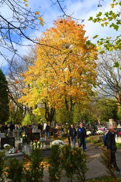 Najstarsza, wciąż czynna krakowska nekropolia. Wyjątkowy cmentarz - zdjęcie 17