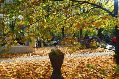Najstarsza, wciąż czynna krakowska nekropolia. Wyjątkowy cmentarz - zdjęcie 1