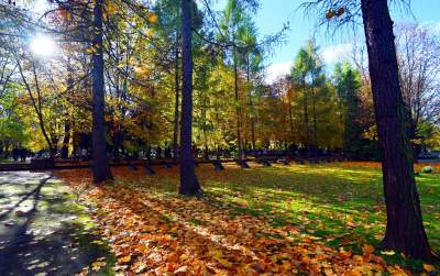 Najstarsza, wciąż czynna krakowska nekropolia. Wyjątkowy cmentarz - zdjęcie 29
