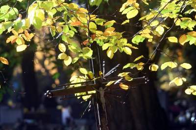 Najstarsza, wciąż czynna krakowska nekropolia. Wyjątkowy cmentarz - zdjęcie 31