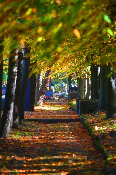 Najstarsza, wciąż czynna krakowska nekropolia. Wyjątkowy cmentarz - zdjęcie 36