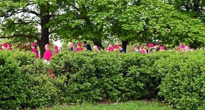 Procesja z Wawelu na Skałkę: w tym roku w cieniu skandali - zdjęcie 17