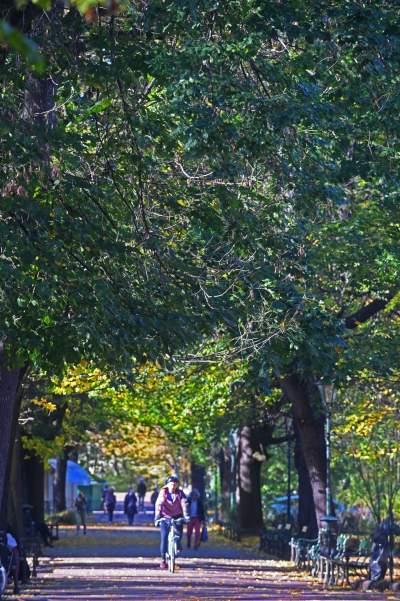 W tym roku liście trzymają się mocniej, dłuższa złota polska jesień - zdjęcie 30