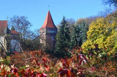 W tym roku liście trzymają się mocniej, dłuższa złota polska jesień - zdjęcie 25