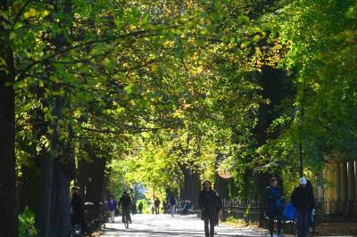 W tym roku liście trzymają się mocniej, dłuższa złota polska jesień - zdjęcie 6