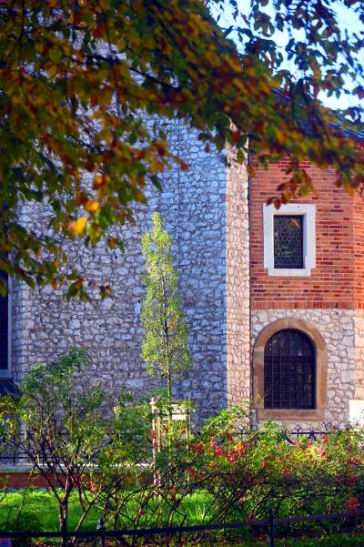 W tym roku liście trzymają się mocniej, dłuższa złota polska jesień - zdjęcie 10