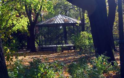 W tym roku liście trzymają się mocniej, dłuższa złota polska jesień - zdjęcie 11