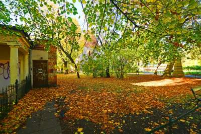W tym roku liście trzymają się mocniej, dłuższa złota polska jesień - zdjęcie 20
