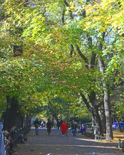 W tym roku liście trzymają się mocniej, dłuższa złota polska jesień - zdjęcie 29