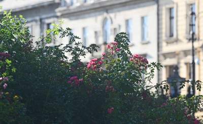 W tym roku liście trzymają się mocniej, dłuższa złota polska jesień - zdjęcie 28