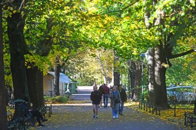 W tym roku liście trzymają się mocniej, dłuższa złota polska jesień - zdjęcie 31